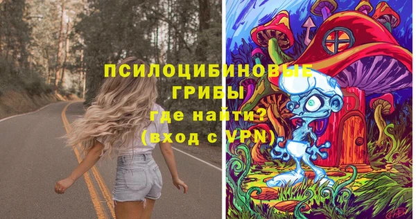 дурь Абаза