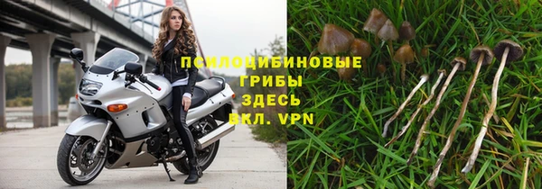 дурь Абаза