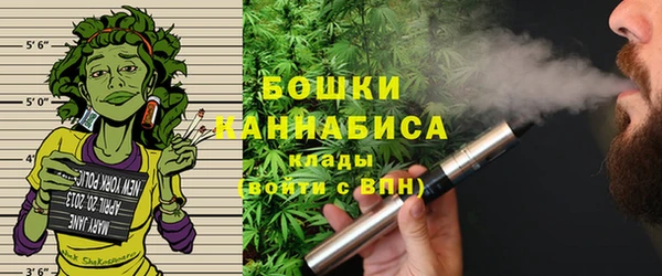 соль ск Алзамай