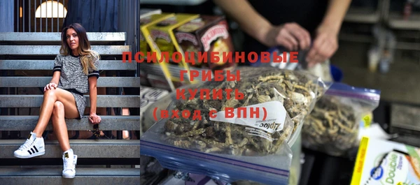 дурь Абаза