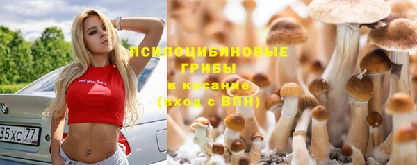 твердый Абдулино