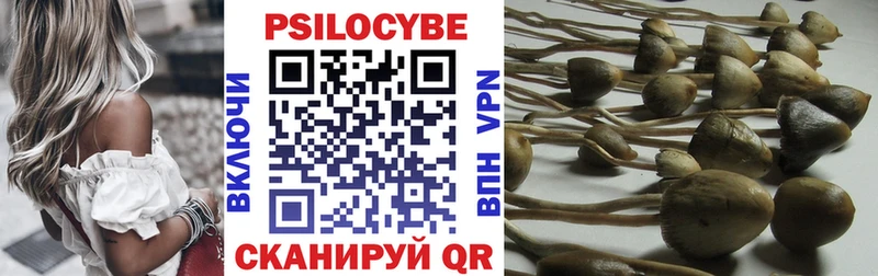 Псилоцибиновые грибы MAGIC MUSHROOMS магазин наркотиков Щёкино